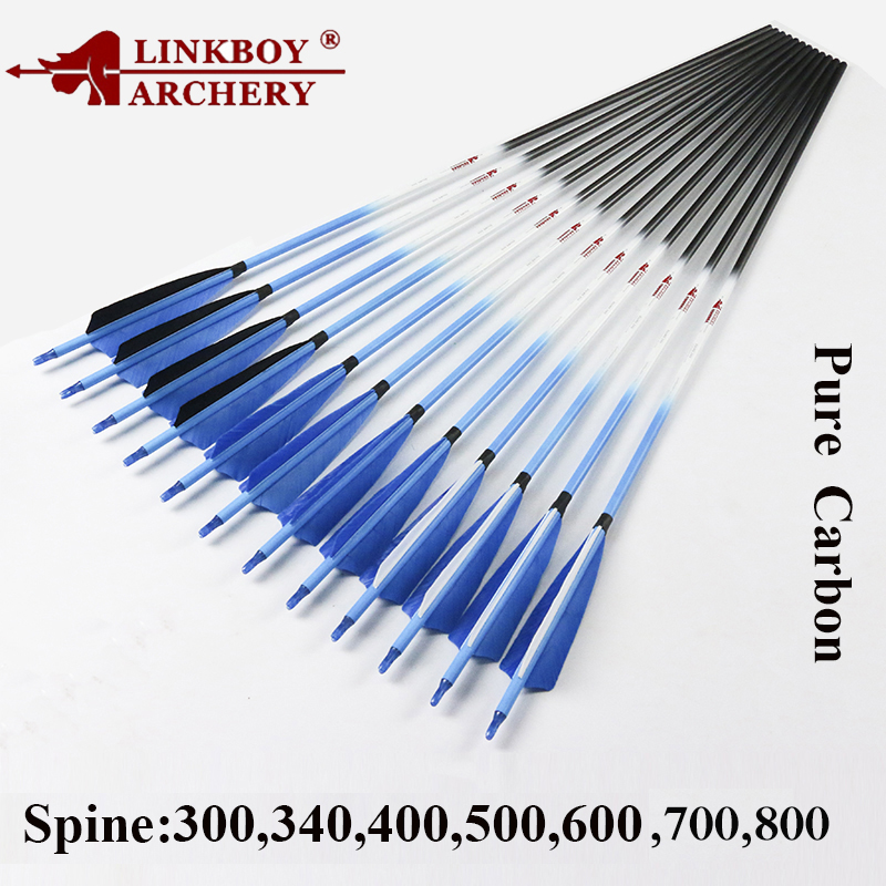 Hunting Bow Compound - Linkboy tir à l'arc flèches en
