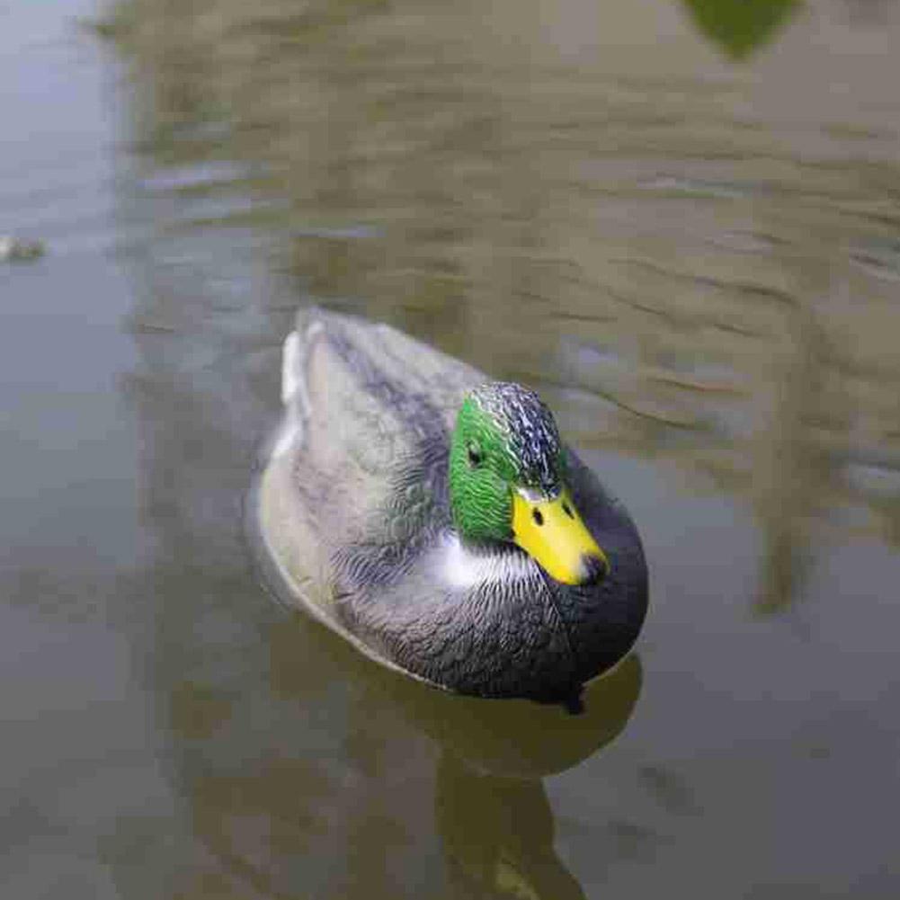 Décoy de canard flottant, simu - Hunting Outdoor Decor avis et prix