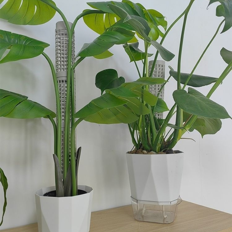 3 poteaux en plastique pour pl - Tree Stand Ladder avis et prix