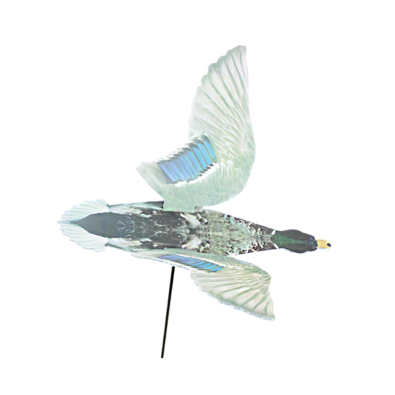 Leurre de chasse au canard pou - Hunting Outdoor Decor avis et prix