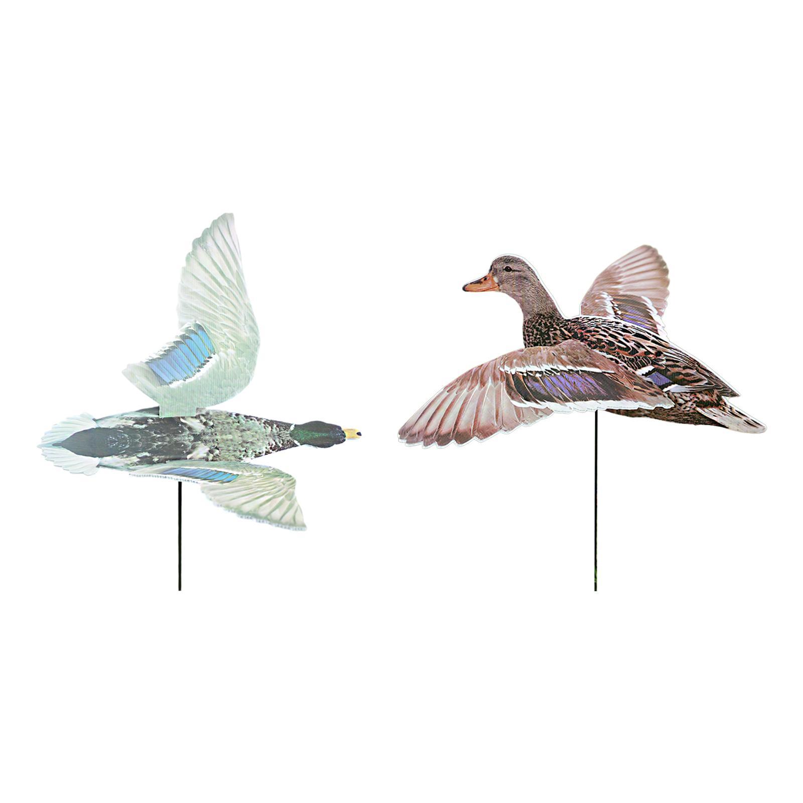 Leurre de chasse au canard pou - Hunting Outdoor Decor avis et prix