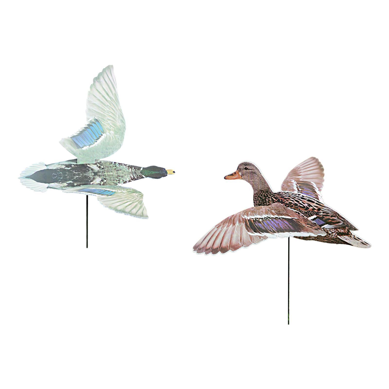 Leurre de chasse au canard pou - Hunting Outdoor Decor avis et prix
