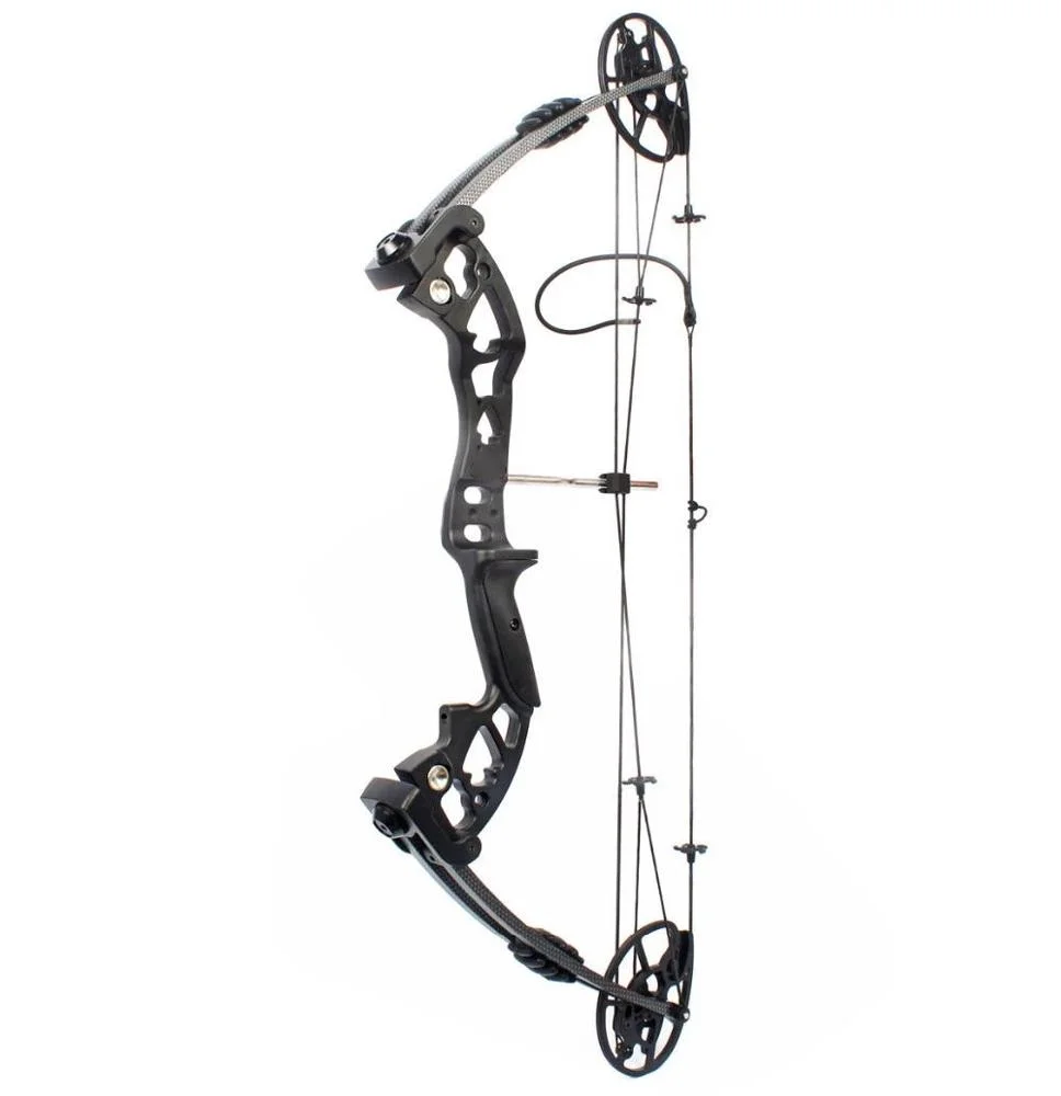 Arc composé M120, nouveau Desi - Hunting Bow Compound avis et prix