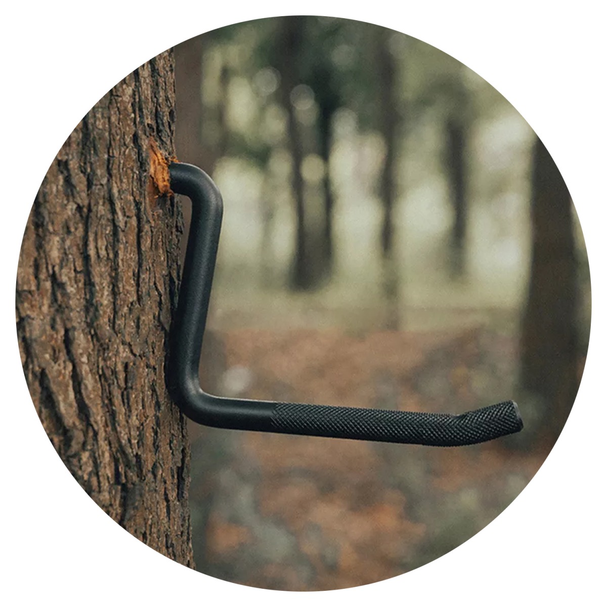 CS09 Marches d'arbre à visser  - Tree Stand Ladder avis et prix