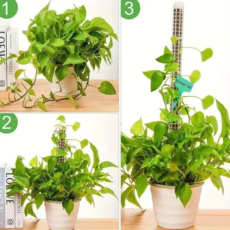 1/2/3 pièces Poteau en mousse  - Tree Stand Ladder avis et prix