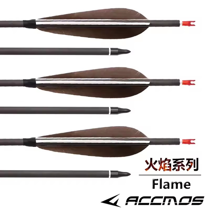 ACCMOS-Flèches en carbone pur  - Hunting Bow Compound avis et prix