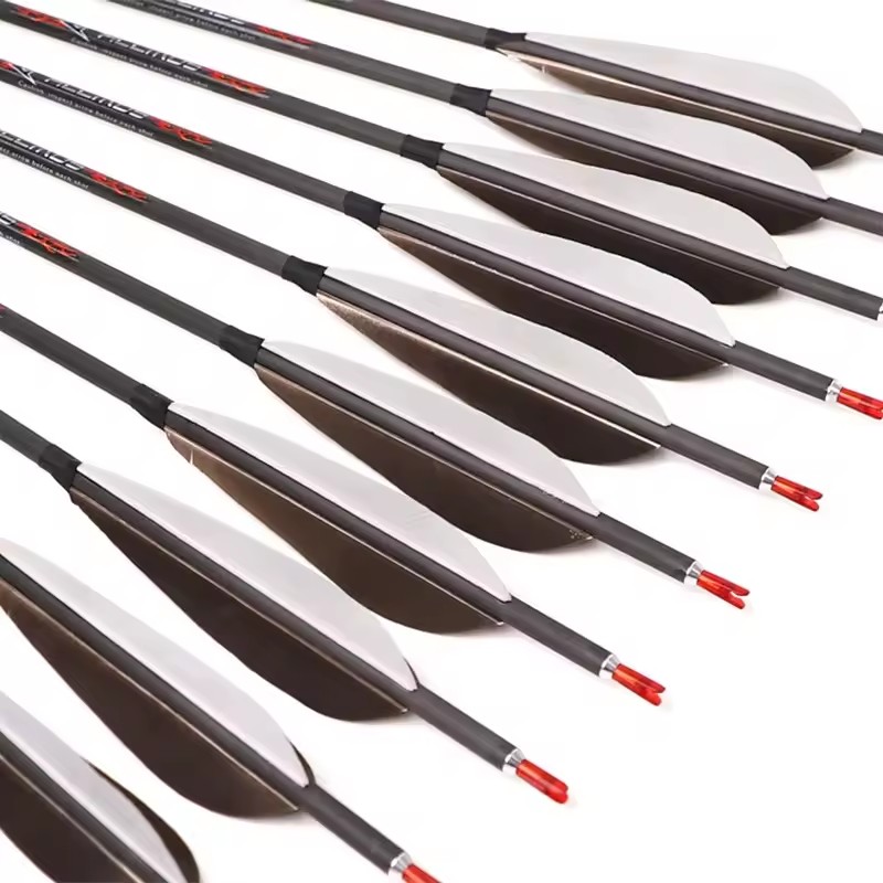 ACCMOS-Flèches en carbone pur  - Hunting Bow Compound avis et prix
